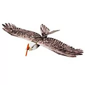 RC Flying Eagle