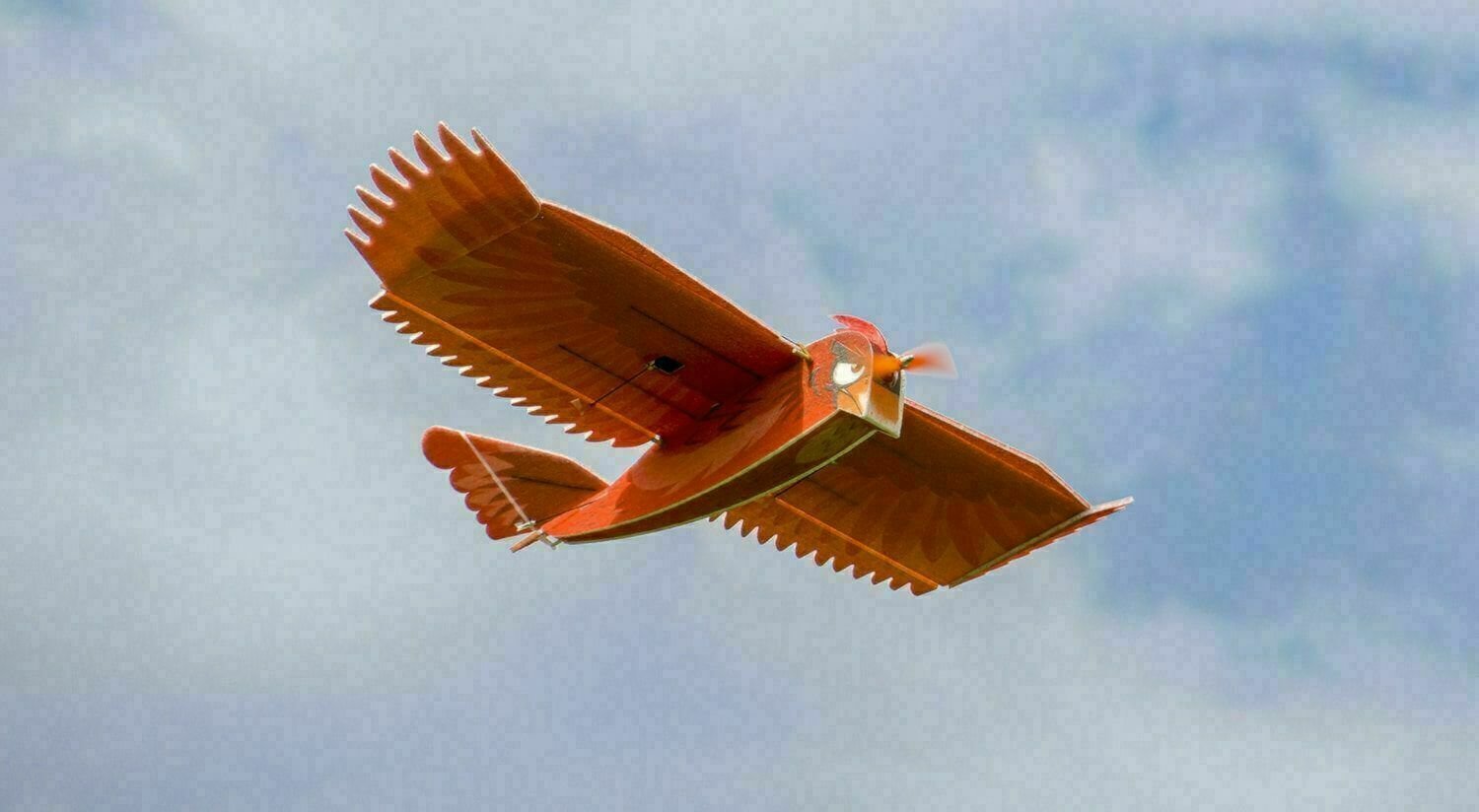 New Biomimetic Northern Cardinal EPP Foam Slow Flyer 1170mm wingspan RC Airplanes Plane Toy Model